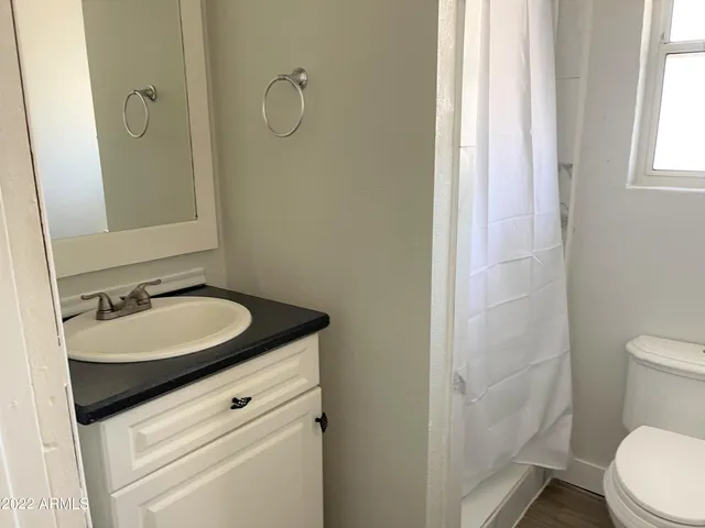 a bathroom with a sink and a toilet