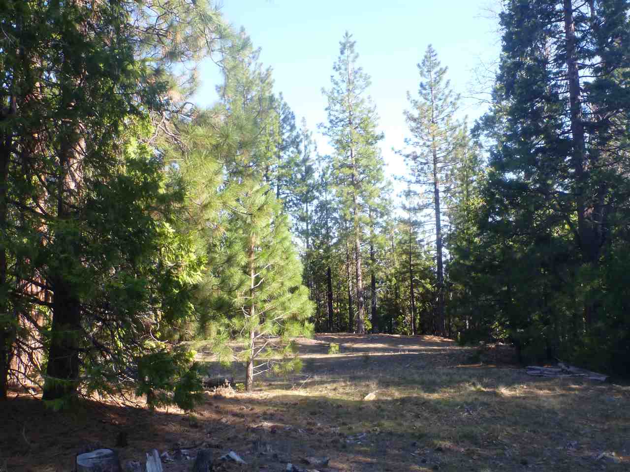 0 Guys Gulch Road Yreka, CA 96097 - Photo 7 of 16 Gallery Image 7