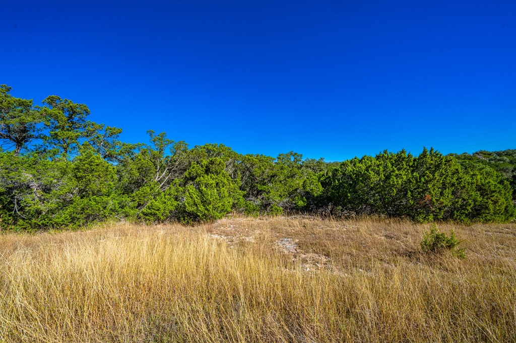 627 Lake Ridge Road Kerrville, TX 78028 - Photo 6 of 13
