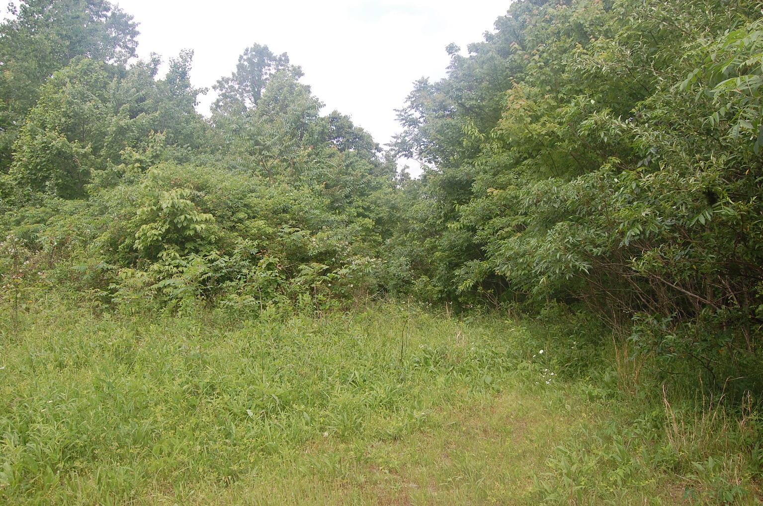 0 Blackfork-Firebrick Road Oak Hill, OH 45656 - Photo 2 of 49