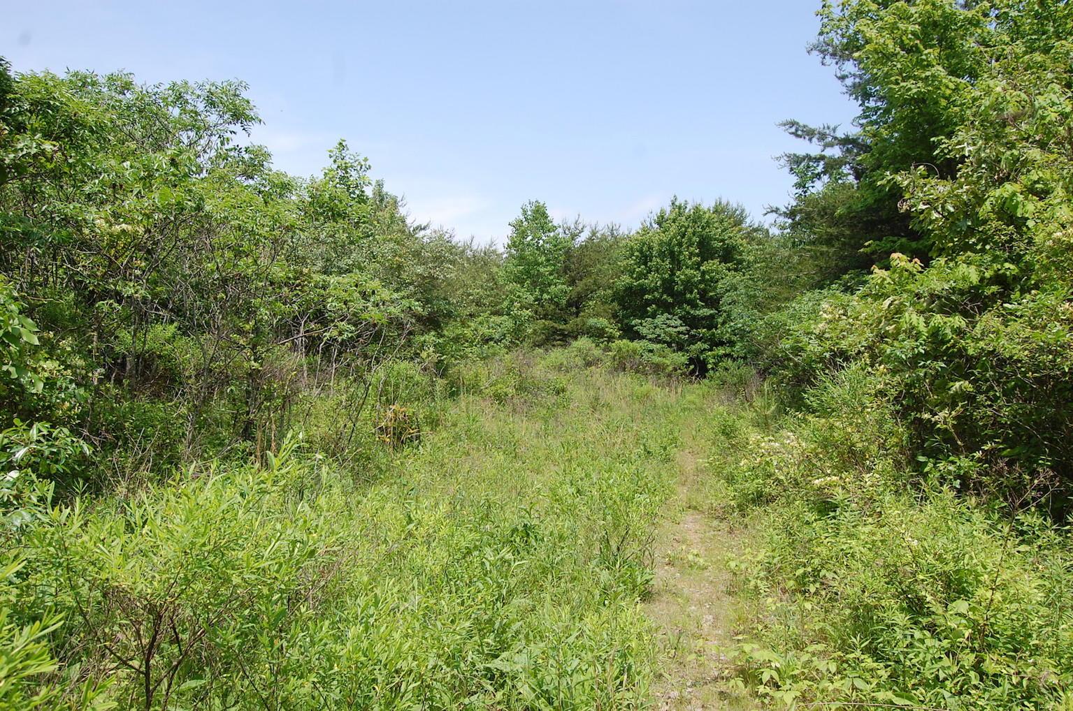 0 Blackfork-Firebrick Road Oak Hill, OH 45656 - Photo 25 of 49