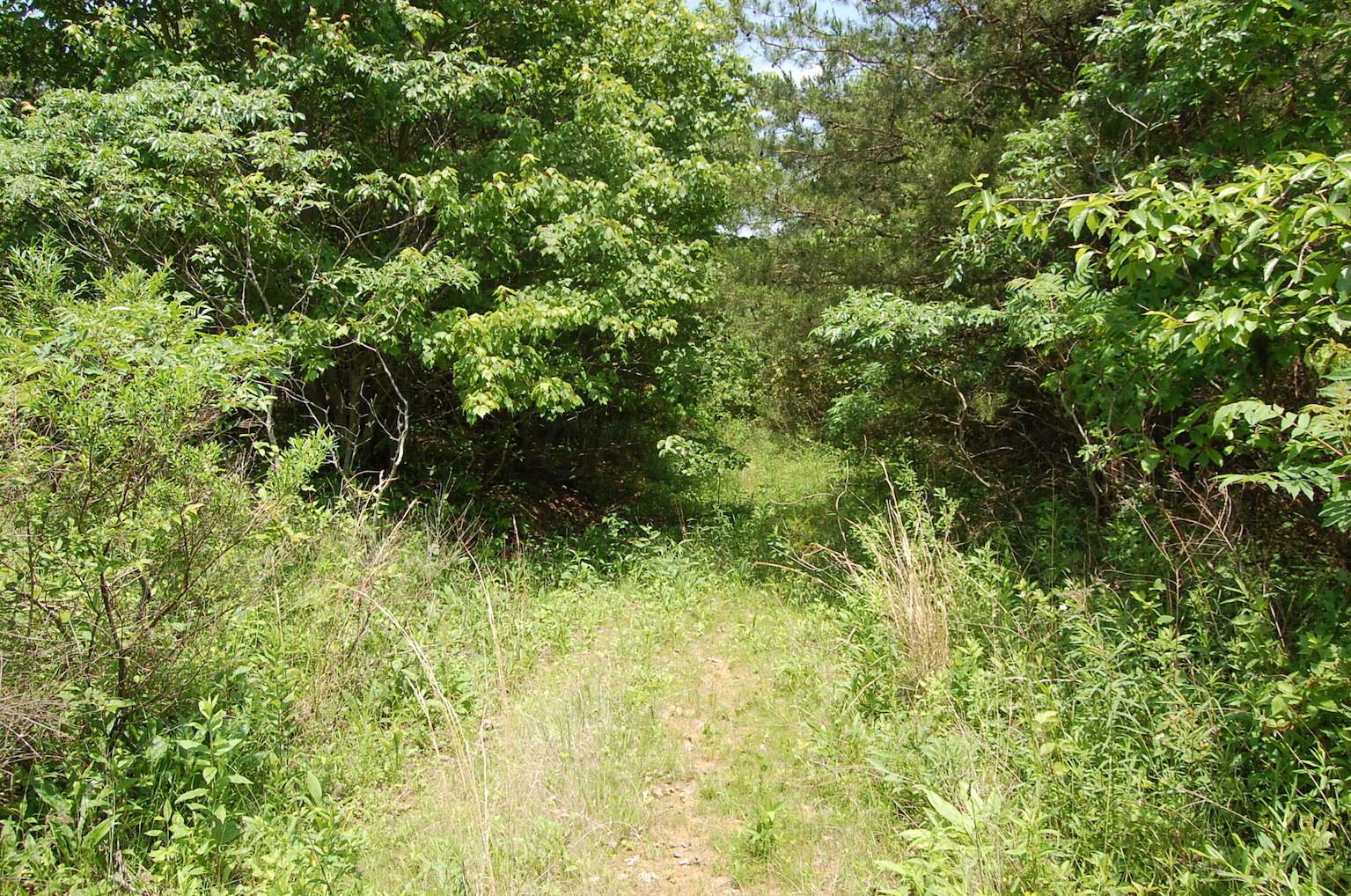 0 Blackfork-Firebrick Road Oak Hill, OH 45656 - Photo 27 of 49