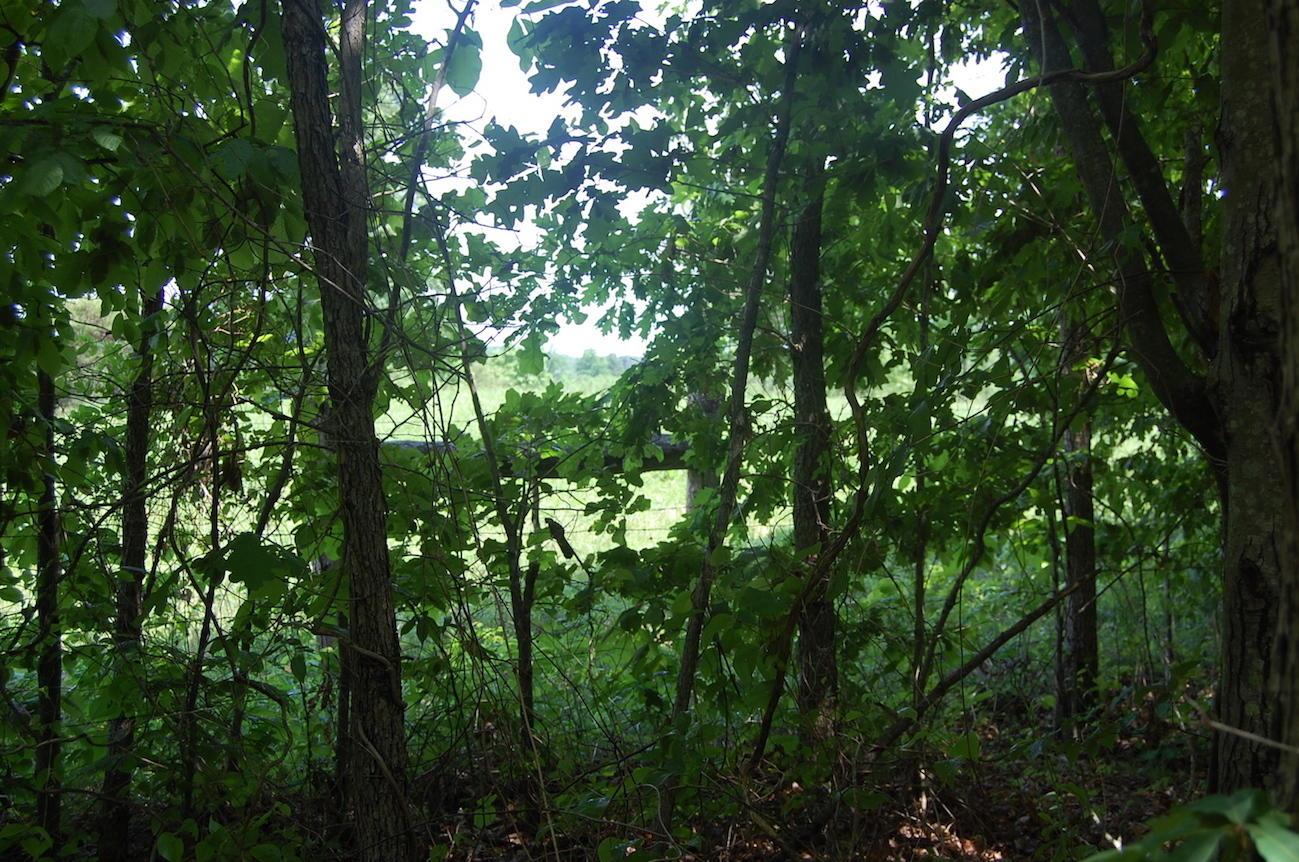 0 Blackfork-Firebrick Road Oak Hill, OH 45656 - Photo 35 of 49