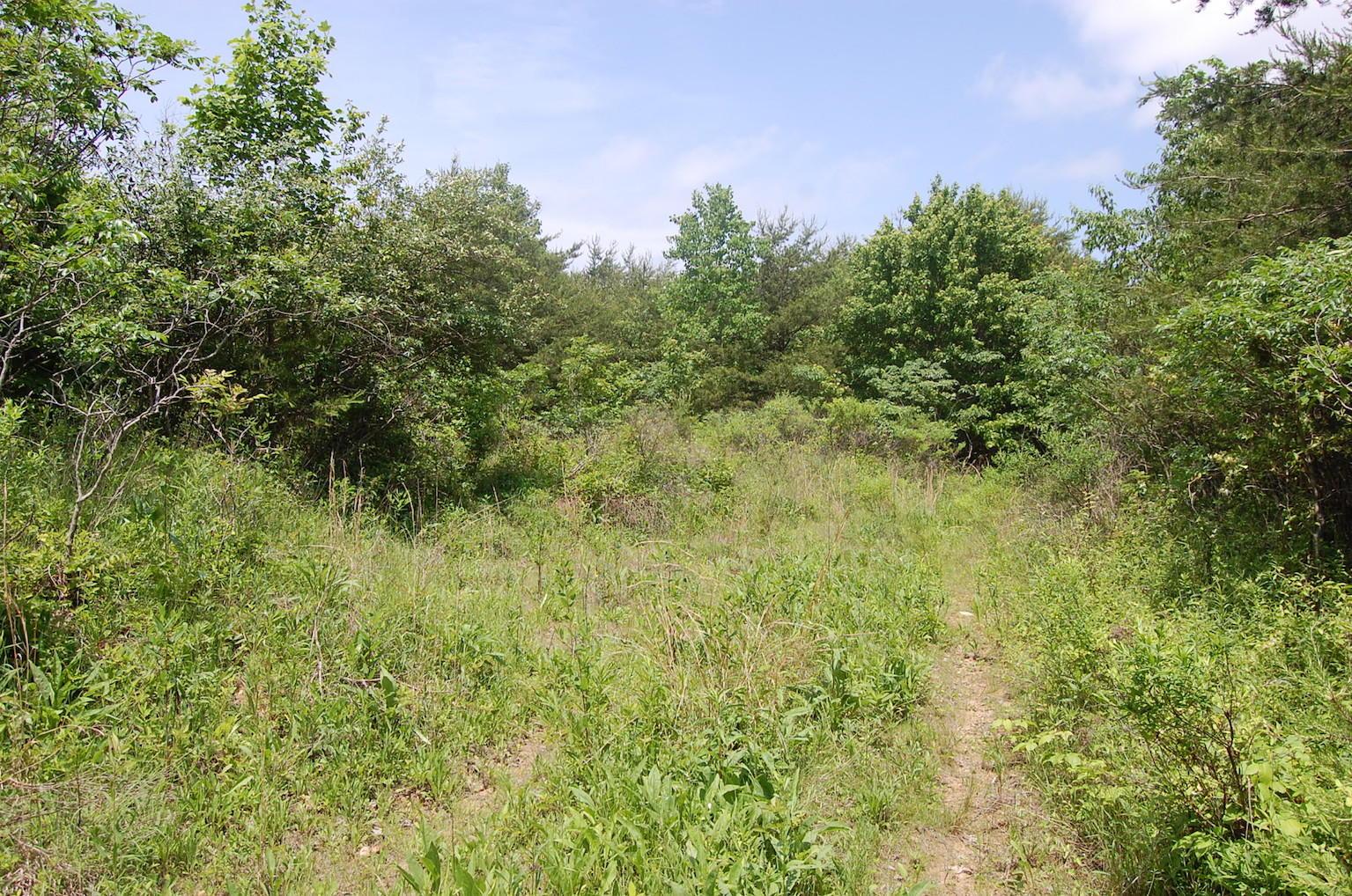 0 Blackfork-Firebrick Road Oak Hill, OH 45656 - Photo 42 of 49