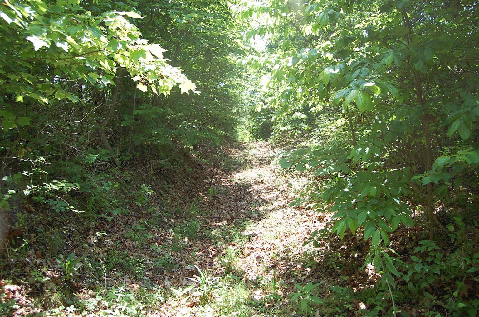 0 Blackfork-Firebrick Road Oak Hill, OH 45656 - Photo 45 of 49