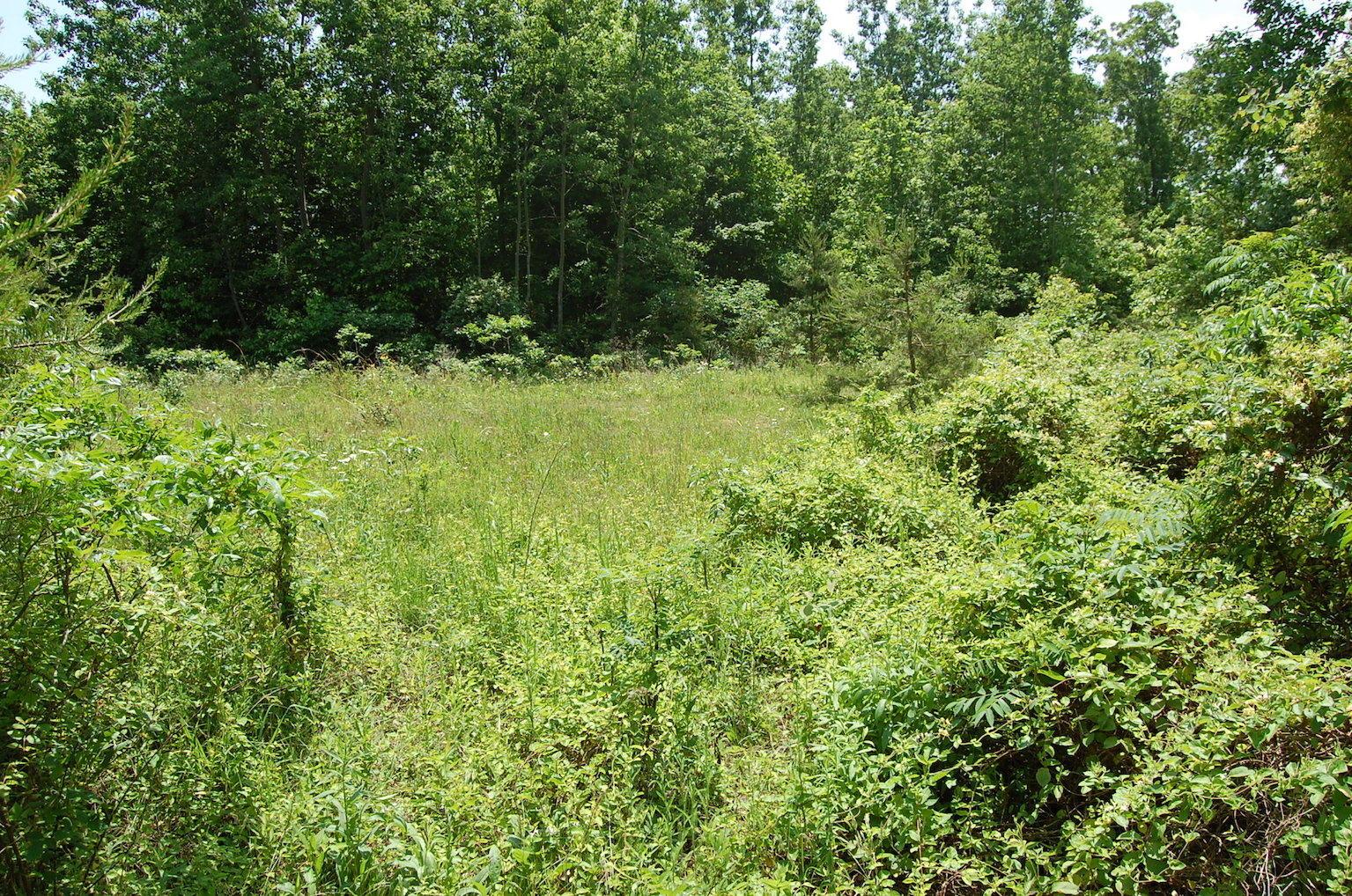 0 Blackfork-Firebrick Road Oak Hill, OH 45656 - Photo 46 of 49