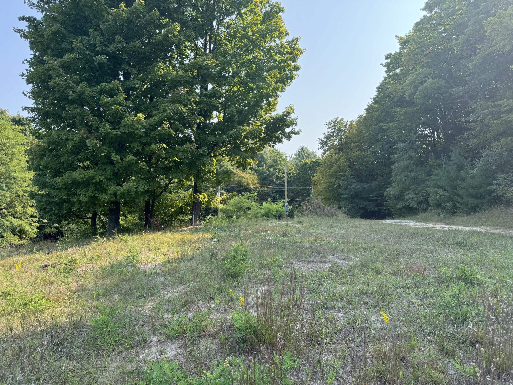 9011 Walling Road Alden, MI 49612 - Photo 10 of 18 Gallery Image 10