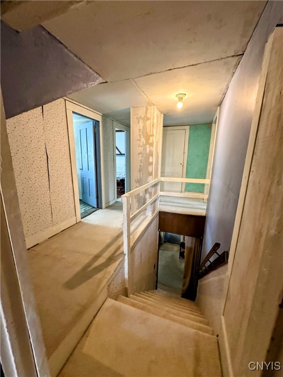 8886 West Creek Road Berkshire, NY 13736 - Photo 22 of 43