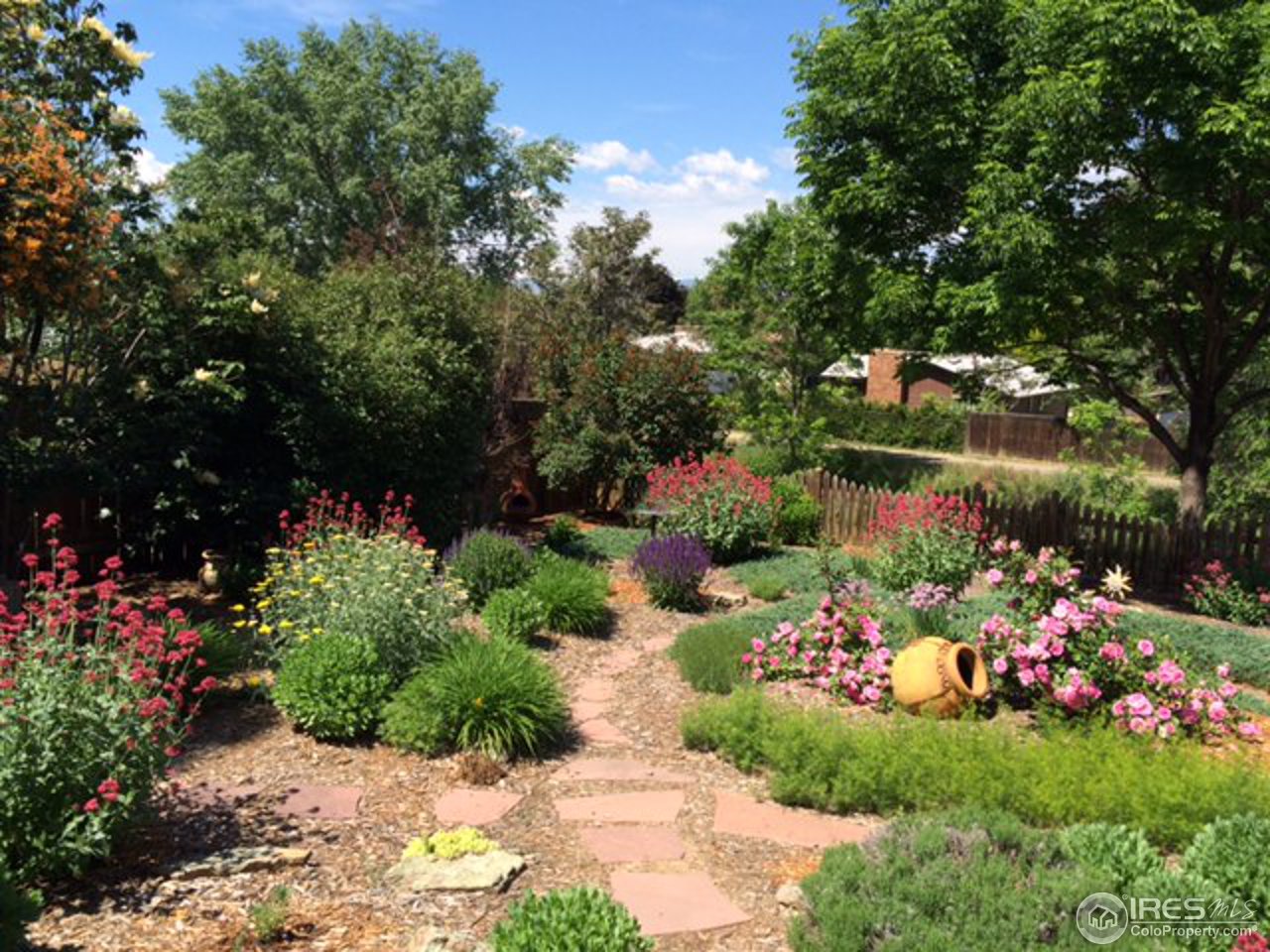 643 Rider Ridge Road Longmont, CO 80504 - Photo 10 of 40 a bunch of flowers in a garden