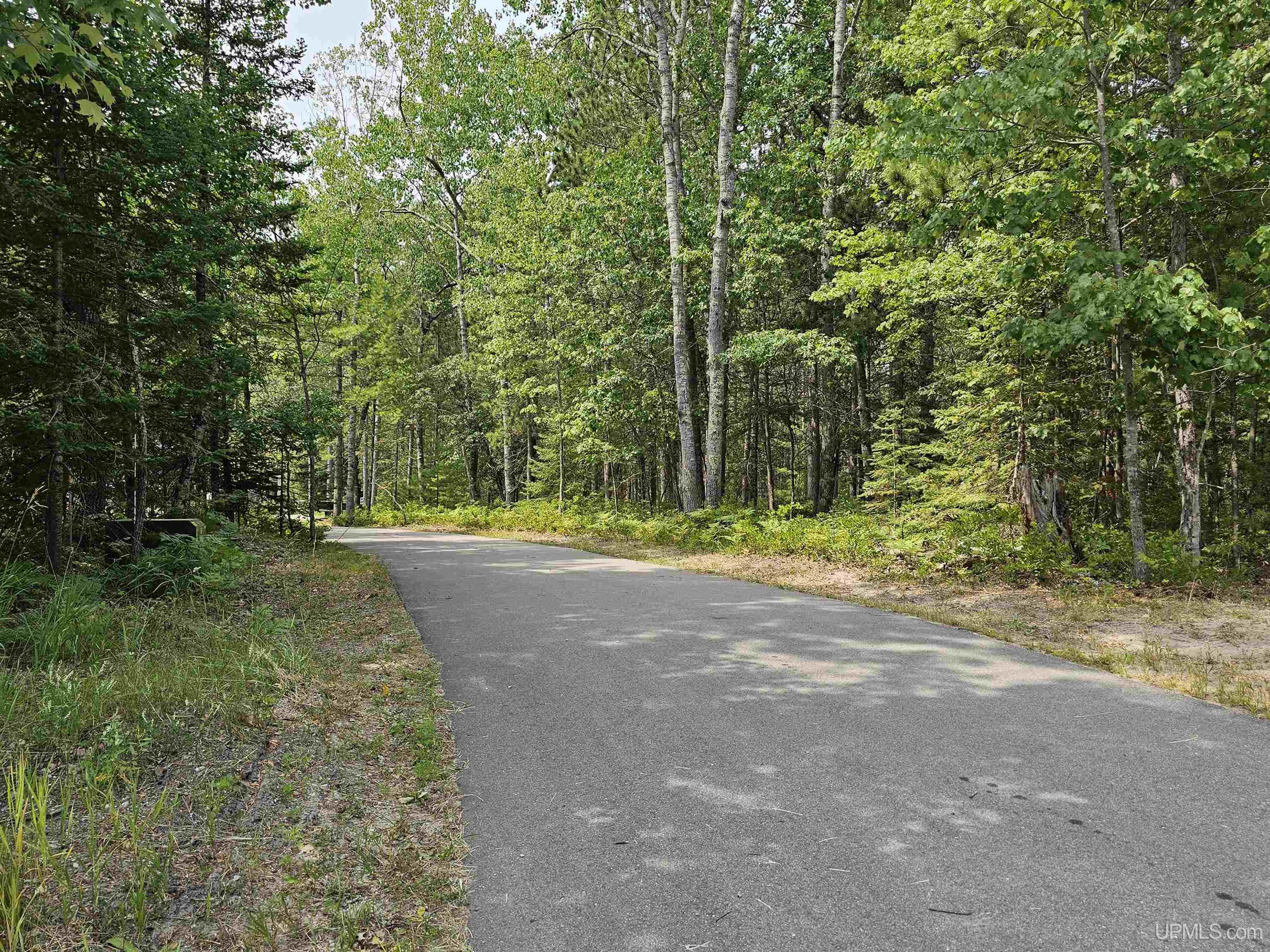 9157 Co Road Rapid River, MI 49878 - Photo 41 of 53