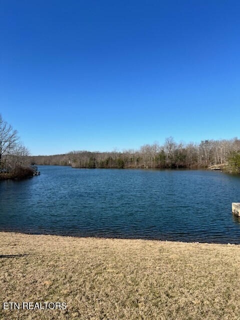 41 Crystal Point Monterey, TN 38574 - Photo 2 of 10 a view of lake and yard