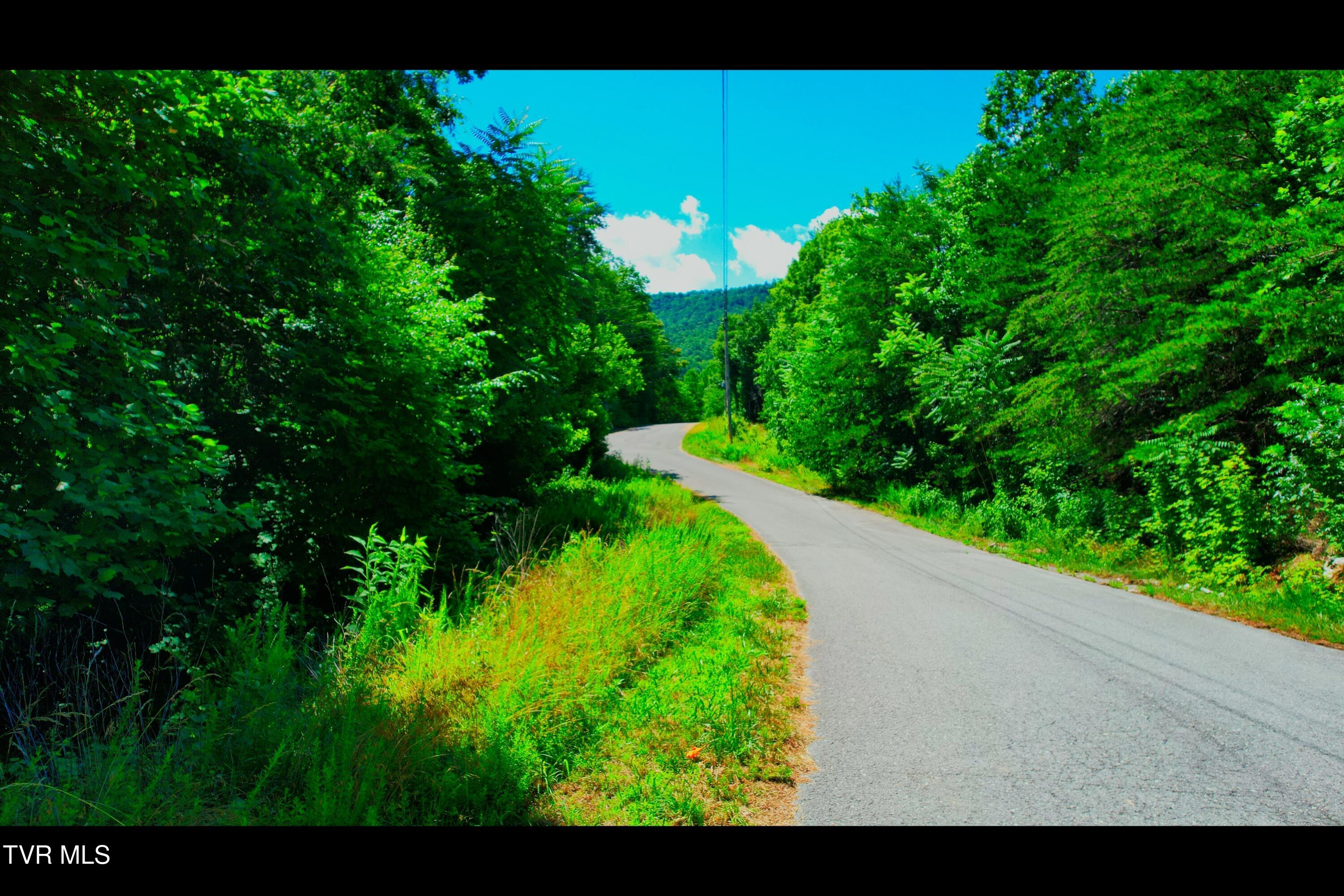Lot 69 Ridgecrest Road New Tazewell, TN 37825 - Photo 6 of 36 Photo (3) (2)