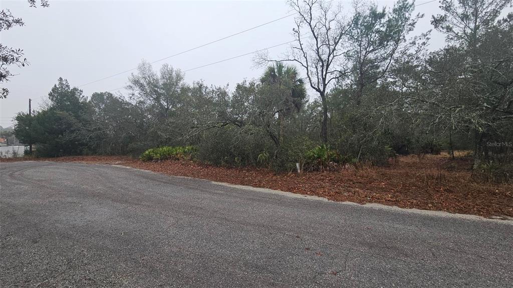 0 Indian Trail Road Weeki Wachee, FL 34613 - Photo 2 of 4 a view of a dirt road with trees in the background