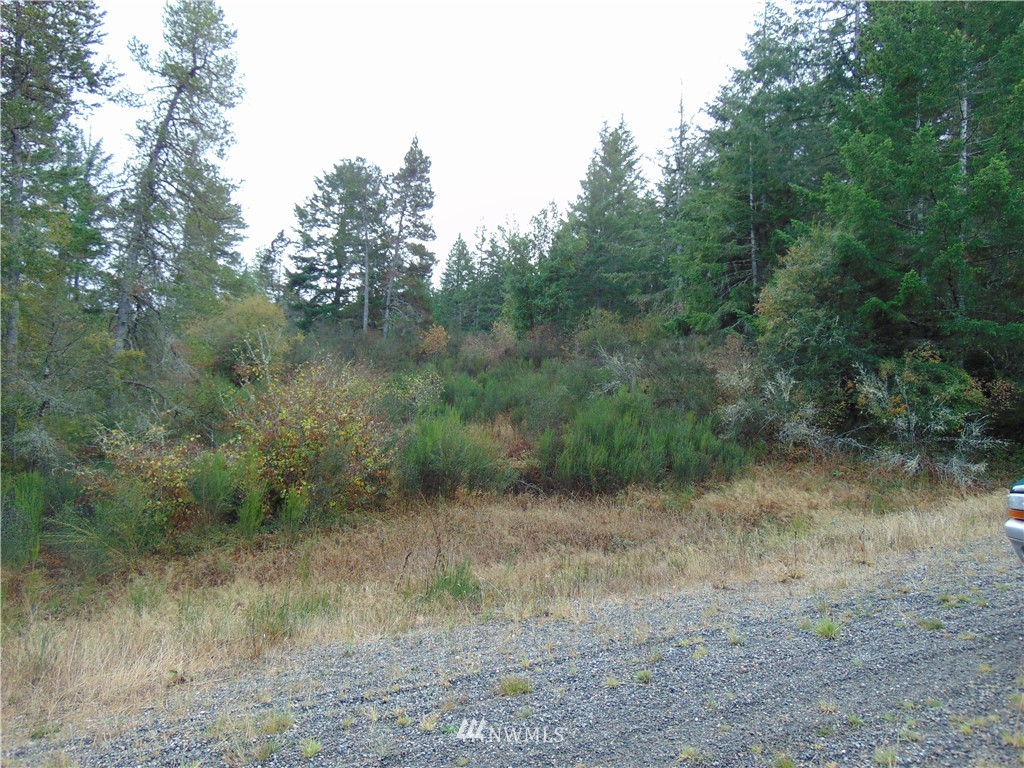0 East Capital Prairie Road Shelton, WA 98584 - Photo 1 of 1 Gallery Image 1