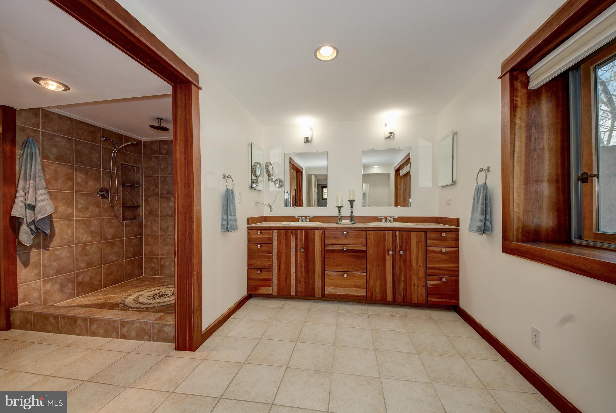 100 Apple Grove Road Silver Spring, MD 20904 - Photo 18 of 26 En Suite Bath
