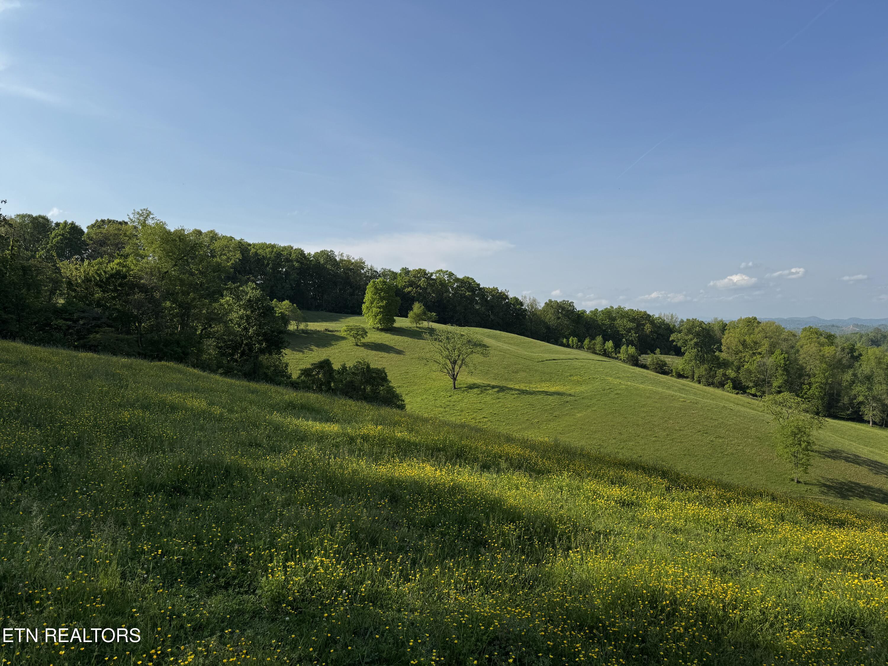 _Main Pic IMG_1106