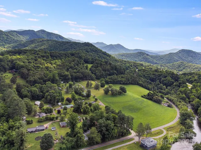 a view of a lush green hillside and houses