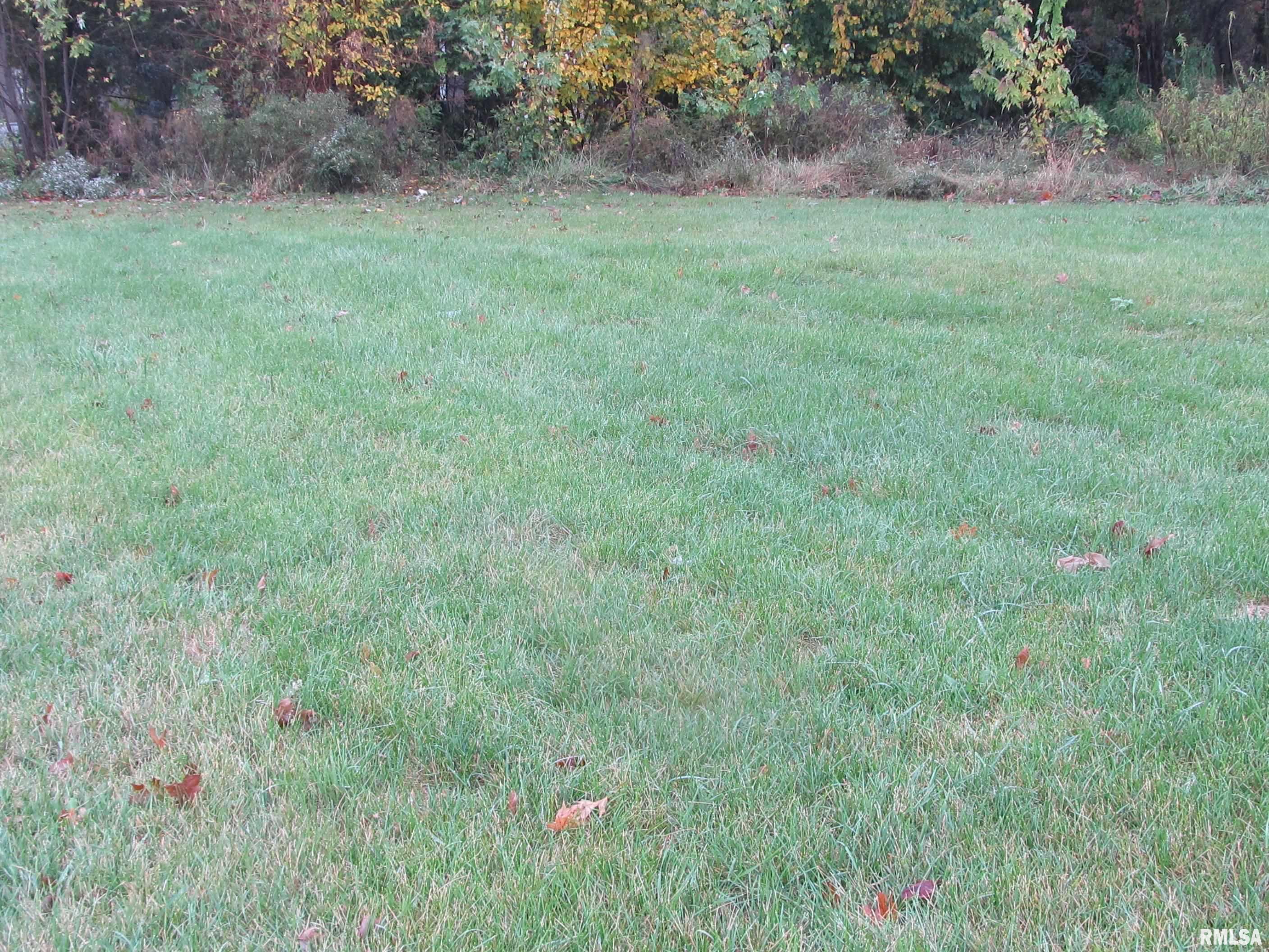 1719 7th Street Rock Island, IL 61201 - Photo 1 of 1