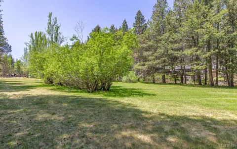 a view of a field with trees