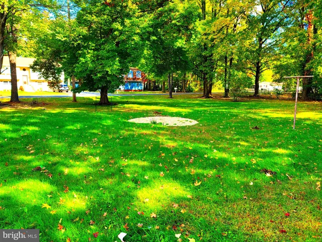 a huge green field with lots of trees