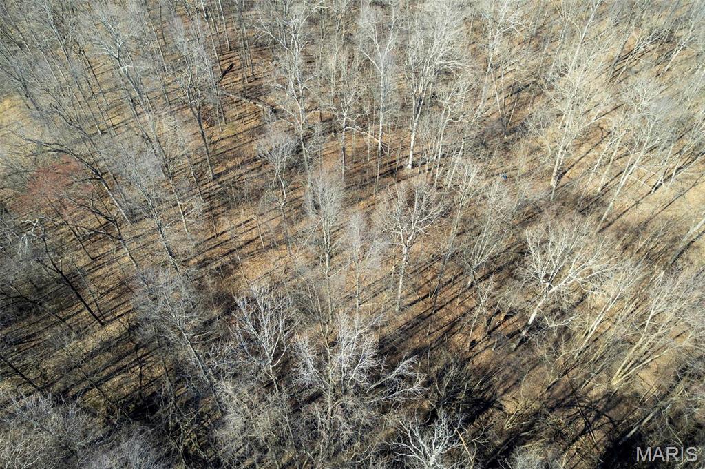 292 Cotoneaster Lane Jackson, MO 63755 - Photo 11 of 14