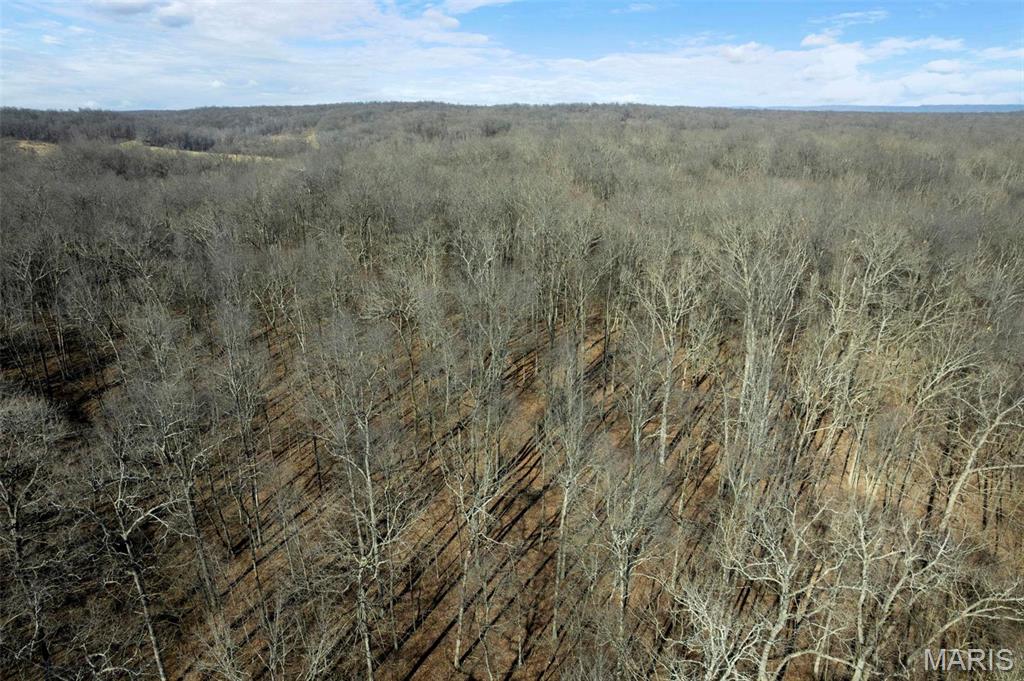 292 Cotoneaster Lane Jackson, MO 63755 - Photo 12 of 14