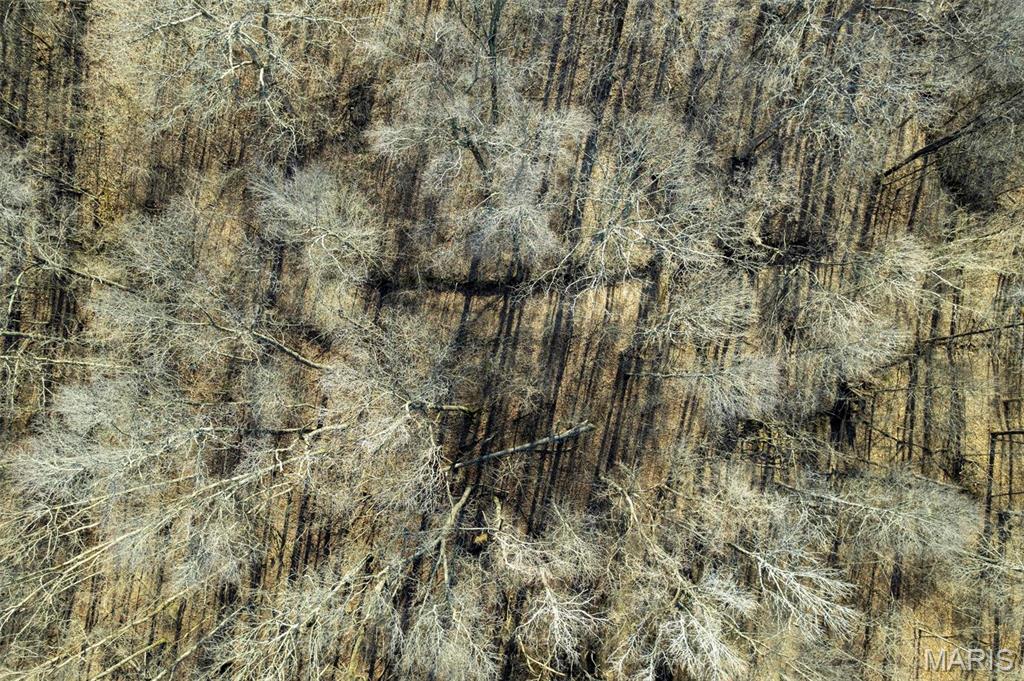 292 Cotoneaster Lane Jackson, MO 63755 - Photo 13 of 14