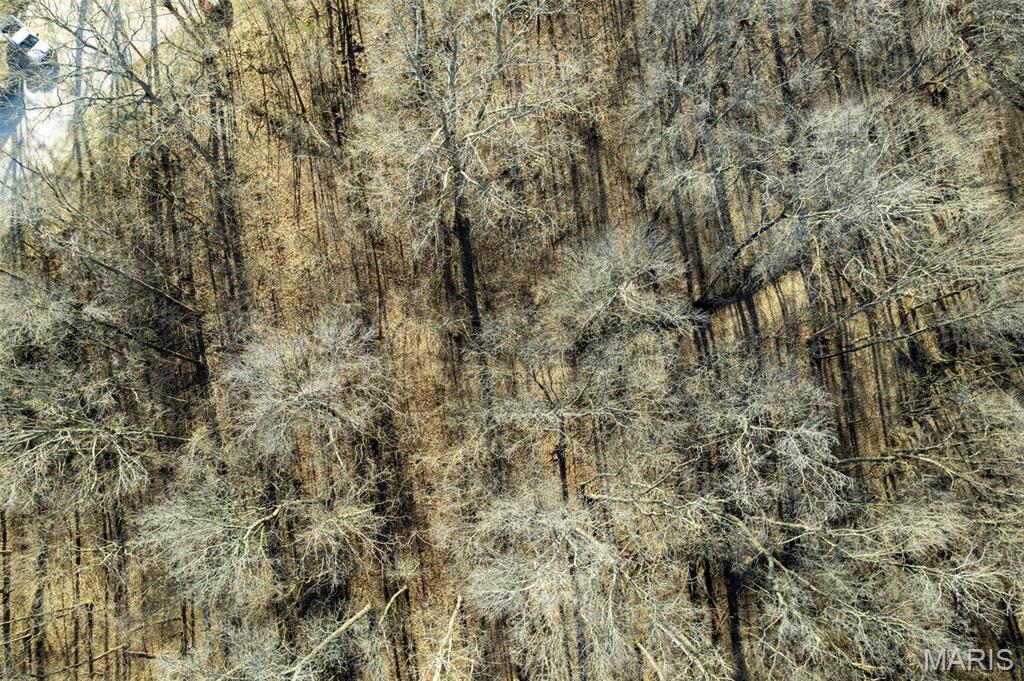 292 Cotoneaster Lane Jackson, MO 63755 - Photo 14 of 14