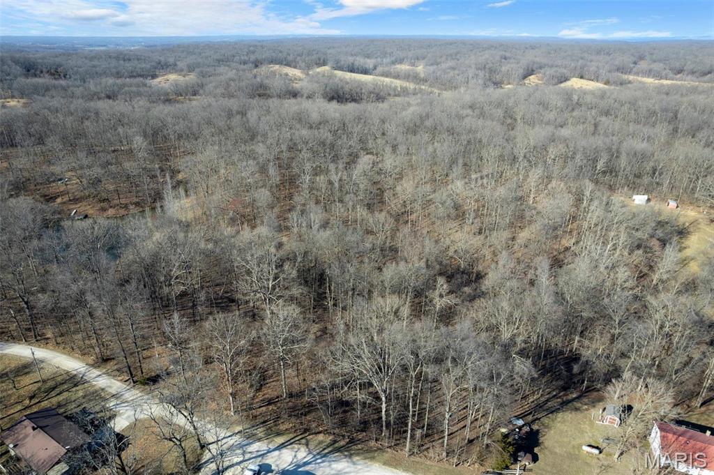 292 Cotoneaster Lane Jackson, MO 63755 - Photo 5 of 14