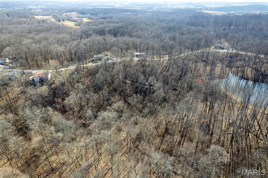 292 Cotoneaster Lane Jackson, MO 63755 - Photo 6 of 14