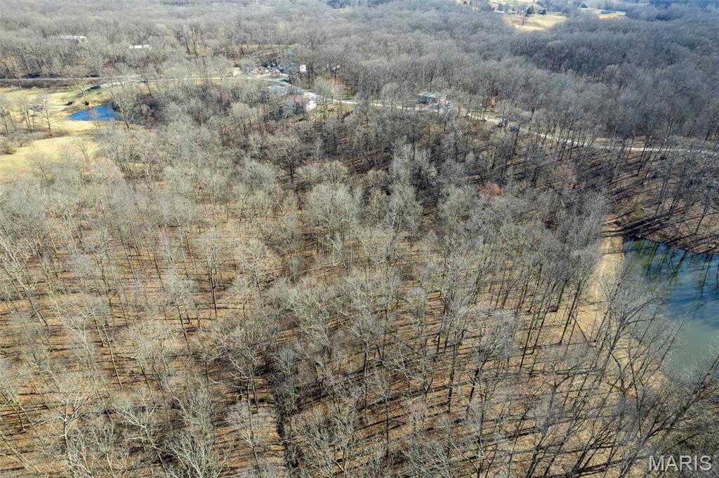 292 Cotoneaster Lane Jackson, MO 63755 - Photo 9 of 14