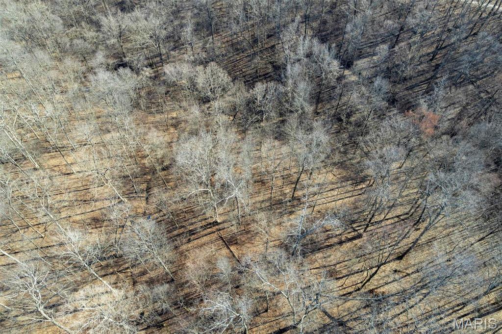 292 Cotoneaster Lane Jackson, MO 63755 - Photo 10 of 14