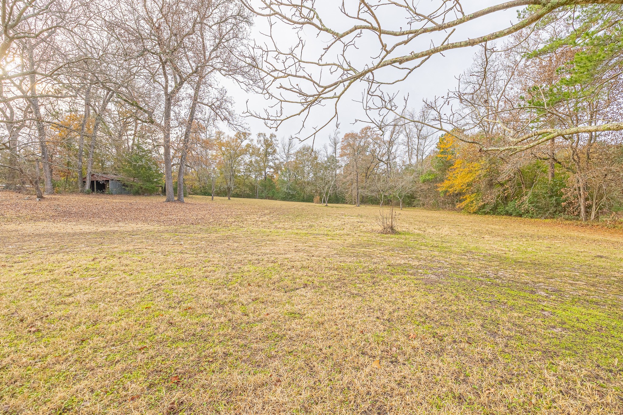 1029 Fish Hatchery Road, Unit B Huntsville, TX 77320 - Photo 21 of 23