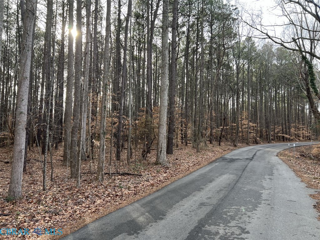 Tbd Queens Point Drive Locust Hill, VA 23092 - Photo 1 of 1