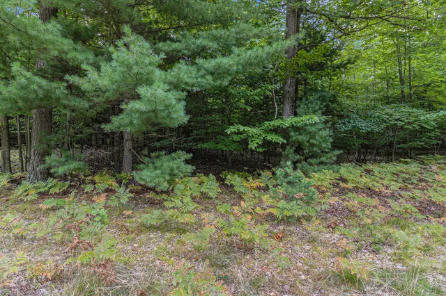 $44,900 | Lot 14 Pine Street, Mears, MI 49436