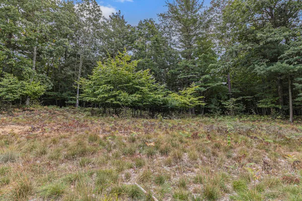 $44,900 | Lot 14 Pine Street, Mears, MI 49436