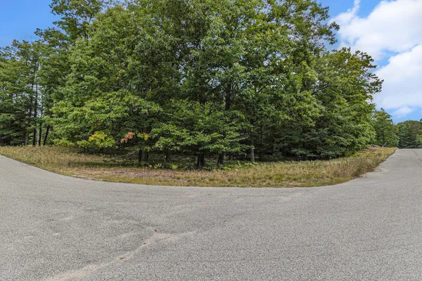 $44,900 | Lot 14 Pine Street, Mears, MI 49436