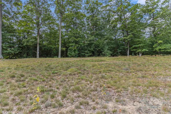 $44,900 | Lot 14 Pine Street, Mears, MI 49436