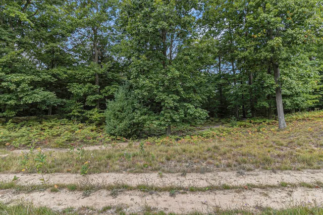 $44,900 | Lot 14 Pine Street, Mears, MI 49436