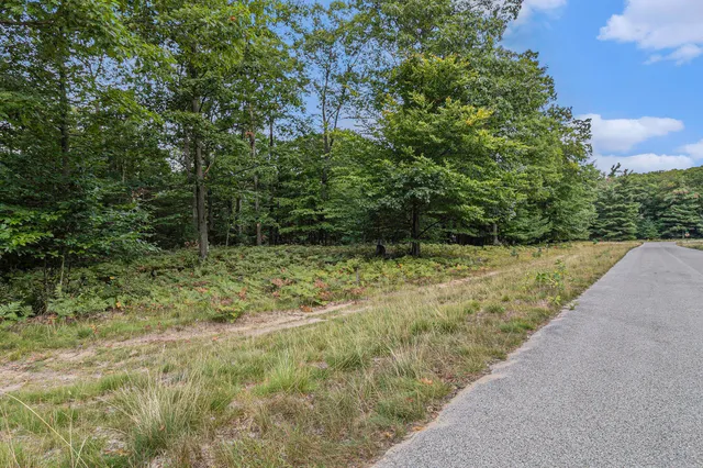 $44,900 | Lot 14 Pine Street, Mears, MI 49436