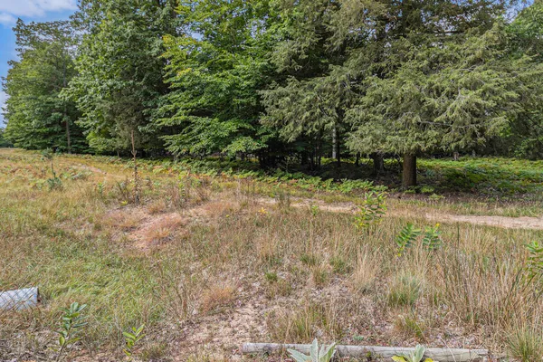 $44,900 | Lot 14 Pine Street, Mears, MI 49436