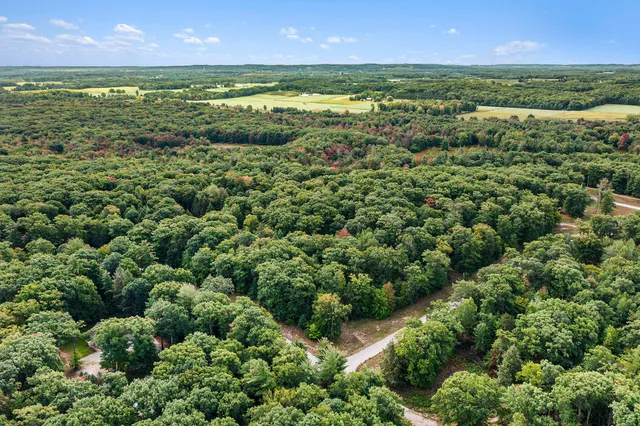 $44,900 | Lot 14 Pine Street, Mears, MI 49436