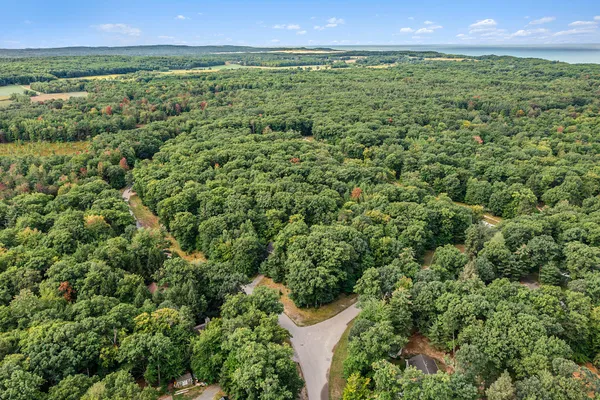 $44,900 | Lot 14 Pine Street, Mears, MI 49436
