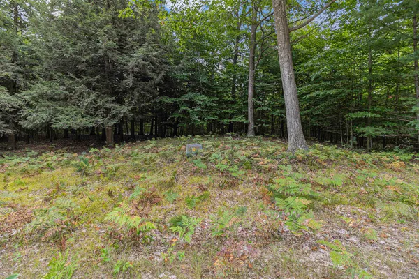 $44,900 | Lot 14 Pine Street, Mears, MI 49436