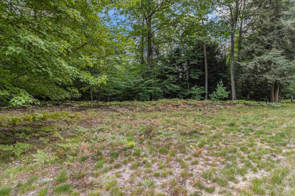 $44,900 | Lot 14 Pine Street, Mears, MI 49436