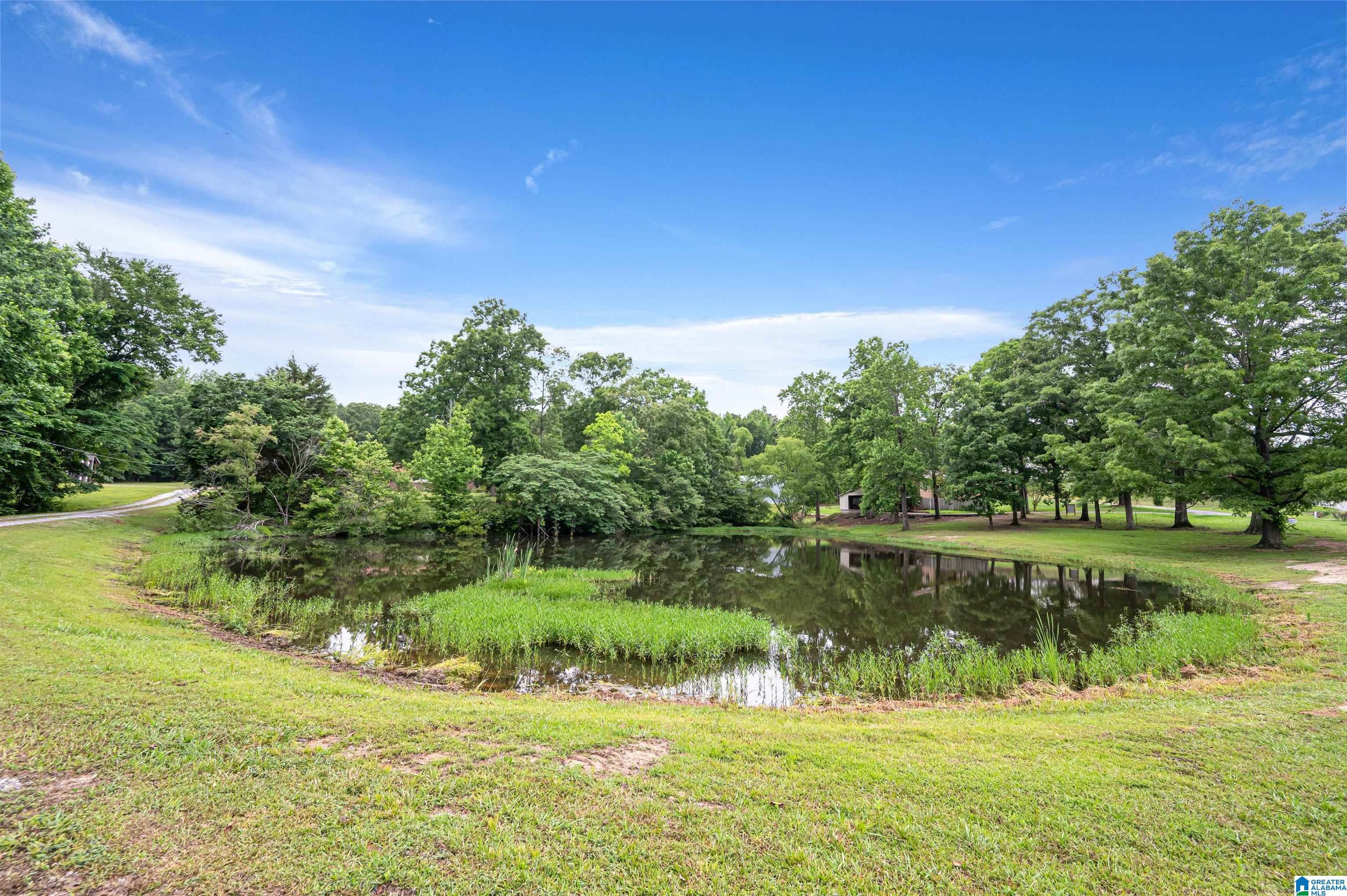 3869 Highway 155 Montevallo, AL 35115 - Photo 48 of 66