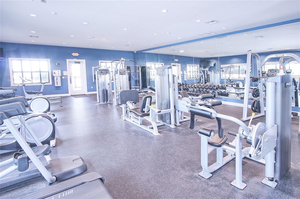 6366 Mooring Line Circle Apollo Beach, FL 33572 - Photo 30 of 32