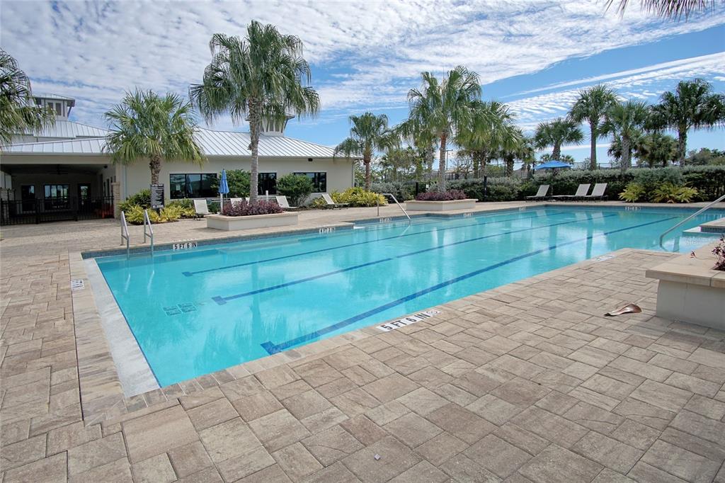 6366 Mooring Line Circle Apollo Beach, FL 33572 - Photo 32 of 32