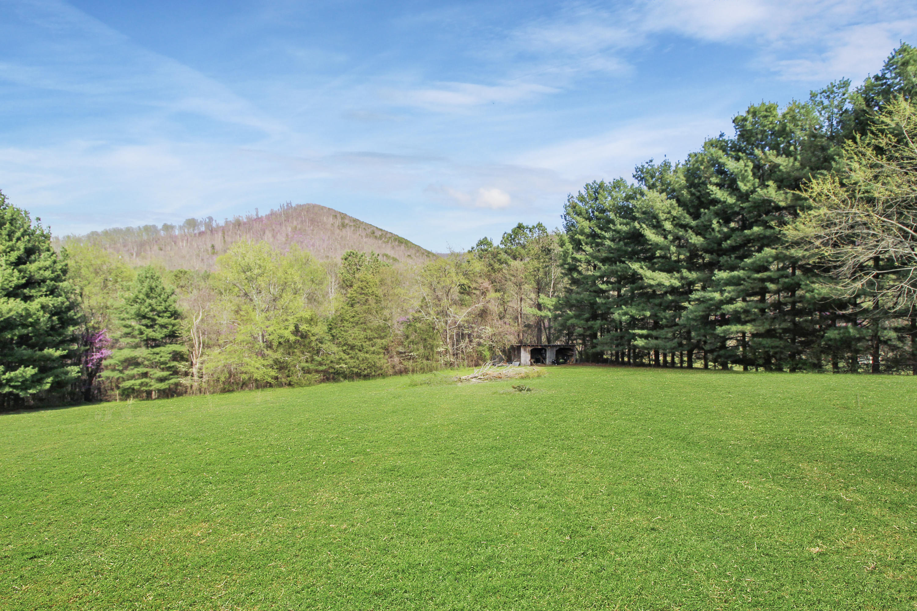 873 Kitchen Branch Road Greeneville, TN 37743 - Photo 10 of 35 IMG_4372