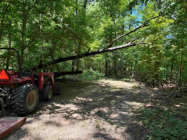 a view of a backyard
